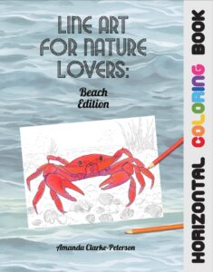 Line Art for Nature Lover: Beach Edition - Horizontal Coloring Book